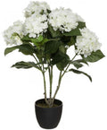 Kunsthortensia wit, 60 cm hoog
