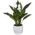 Atmosphera kunstplant vredeslelie met pot, 30 x 54 cm, groen