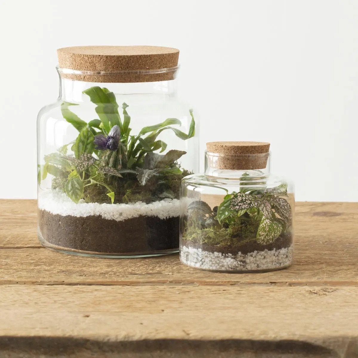 Atmosphera glazen terrariumpot met kurken deksel, Ø 18 x 21 cm (2)