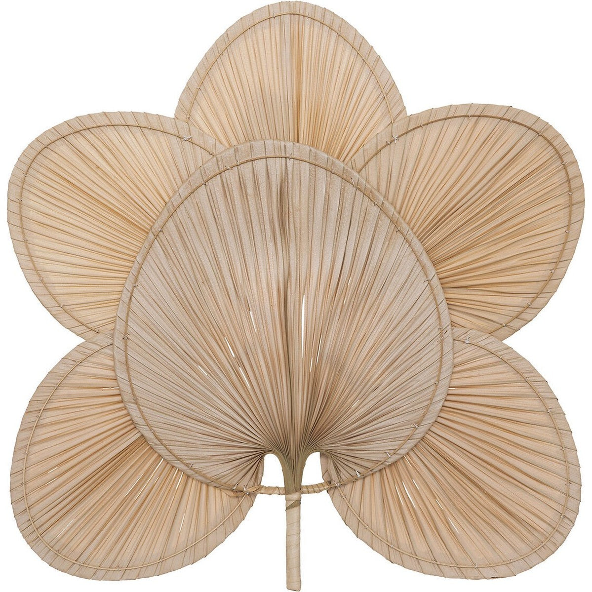 Atmosphera wanddecoratie Selma, palmblad, naturel, 70 x 70 cm