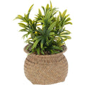 Atmosphera kunstplant Jil in gevlochten pot, 20 cm hoog