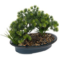 Atmosphera kunstplant bonsai in pot, 25 cm