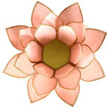 Lotus sfeerlicht van capiz, pastelroze met goudrand, 13,5 cm